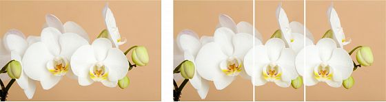 Стол "Грация" (1,45) раздвижной Стекло Оптивайт глянец (опоры массив) - Белая орхидея (К-29)