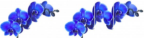 Стол "Соло" раздвижной Стекло матовое Оптивайт - Синие цветы (167744783)