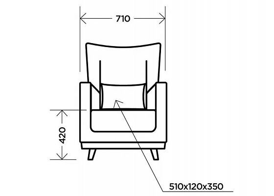 Кресло интерьерное - Кресло интерьерное, Newton Plum (микровелюр), схема спереди